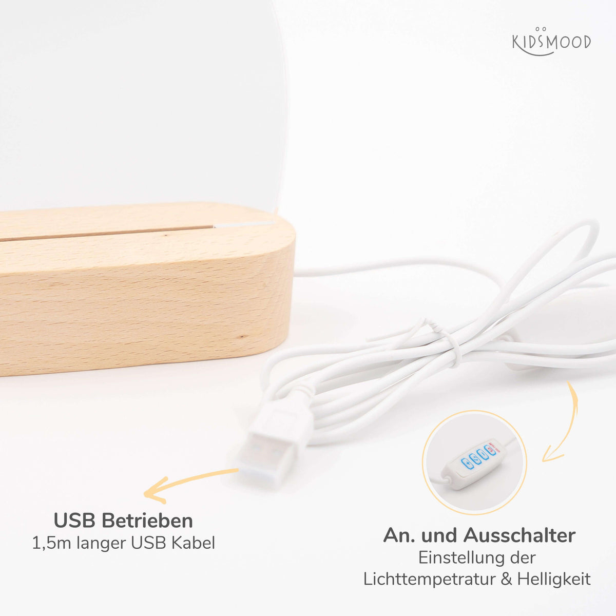 detailansicht der gravur auf der nachtlampe mit safari und geburtsdatum