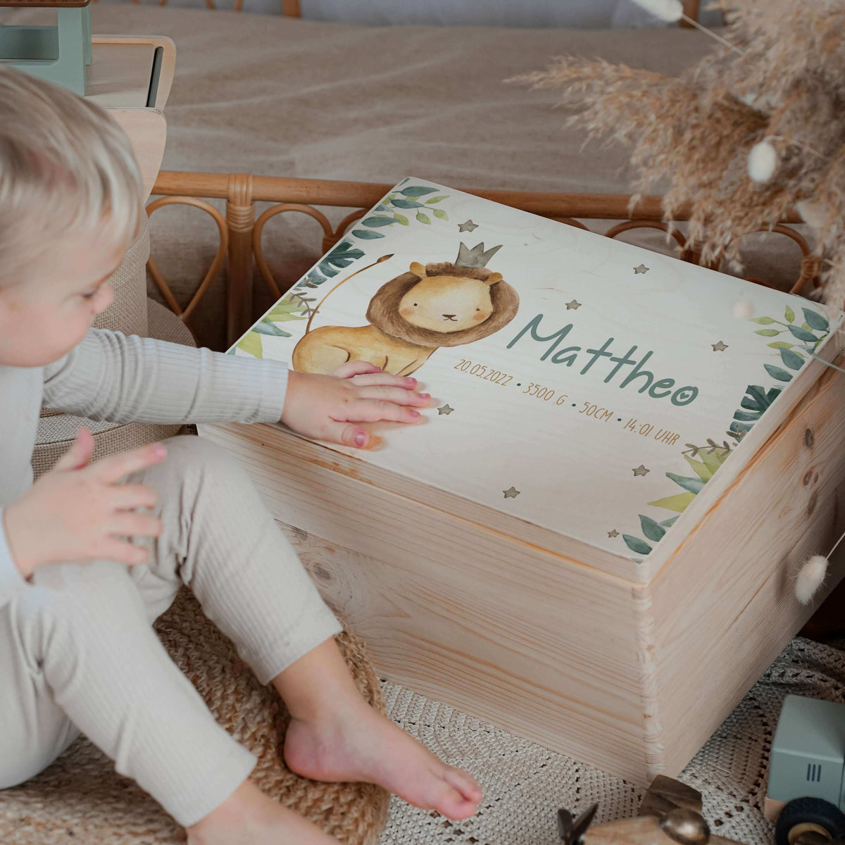 Erste Schritte Bundle - Safari Löwe: Messlatte, Kindergarderobe, Erinnerungsbox