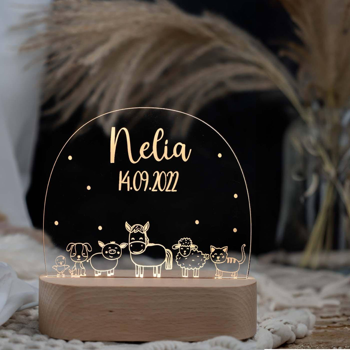 personalisierte nachtlampe mit bauernhof design für kinderzimmer